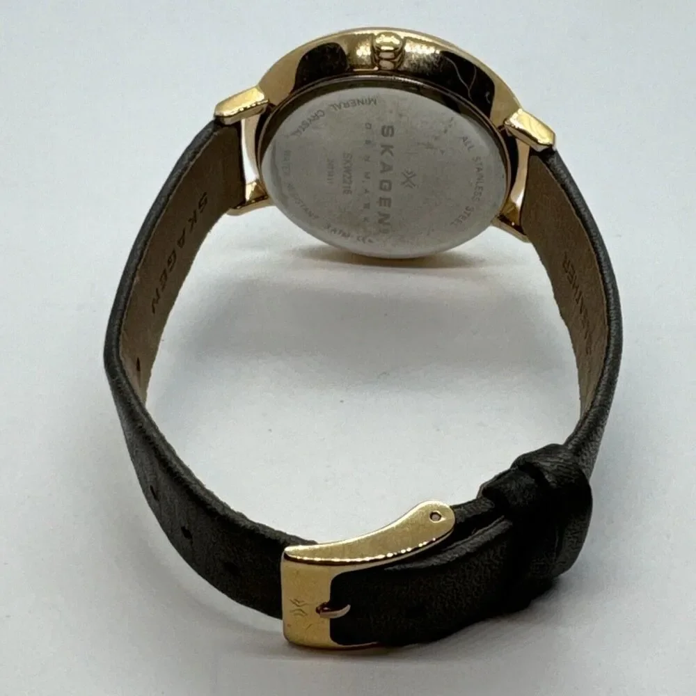 Skagen Ditte SKW2216 Women's Gray Leather Analog Dial Quartz Wrist Watch JNA563